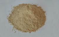 Biokvas 45- Yeast Protein Feed