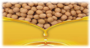 crude-soybean-oil