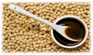 soybean lecithin