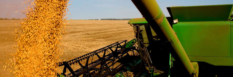 AMONG EUROPEAN LEADERS IN SOY PROCESSING